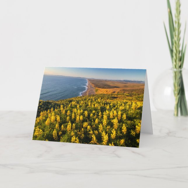 Point Reyes National Seashore California Kort (Framsida)