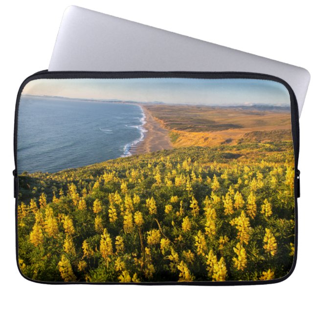 Point Reyes National Seashore California Laptop Fodral (Framsidan)