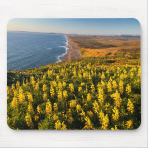 Point Reyes National Seashore California Musmatta