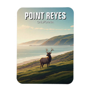 Point Reyes National Seashore Elk Magnet