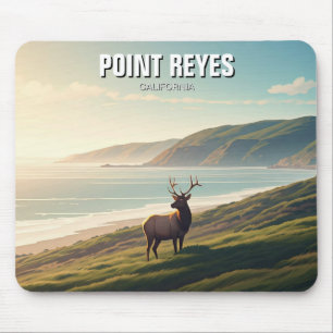 Point Reyes National Seashore Elk Musmatta