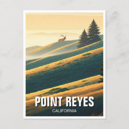 Point Reyes National Seashore Elk Vykort
