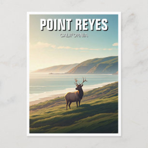 Point Reyes National Seashore Elk Vykort