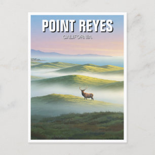 Point Reyes National Seashore Elk Vykort