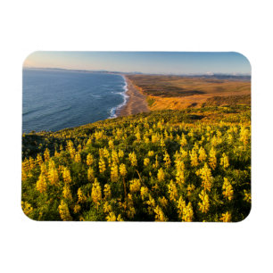 Point Reyes National Seashore Kalifornien Magnet