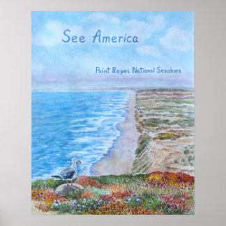 Point Reyes National Seashore Poster