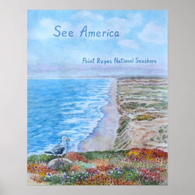Point Reyes National Seashore Poster (Framsidan)