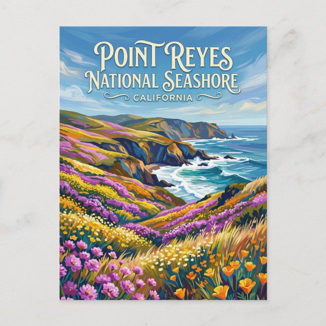 Point Reyes nationala kust California Vykort (Framsida)