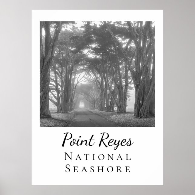 Point Reyes Poster (Framsidan)