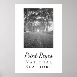 Point Reyes Poster