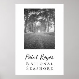 Point Reyes Poster