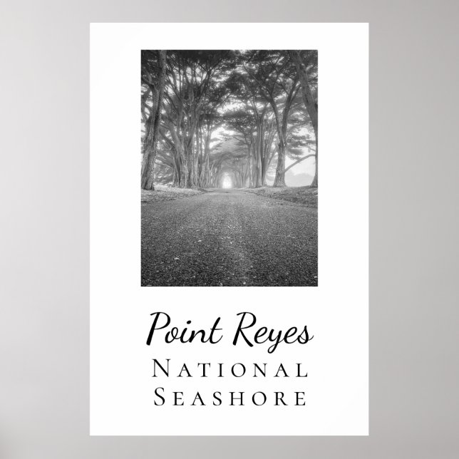 Point Reyes Poster (Framsidan)