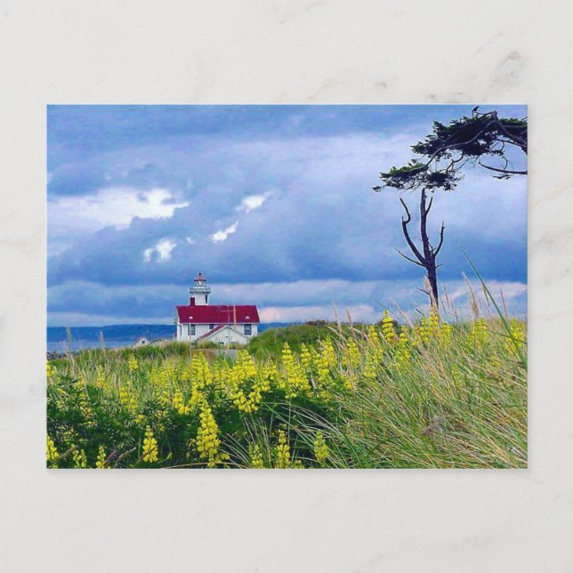 Point Wilson Lighthouse, Port Townsend, Washington Vykort (Framsida)