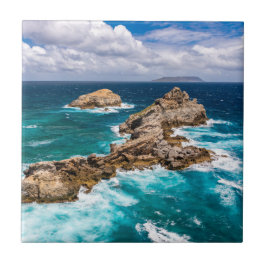 Pointe des Chateaux, Grande-Terre, Guadeloupe #2 Kakelplatta