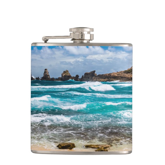 Pointe des Chateaux, Grande-Terre, Guadeloupe Fickplunta (Framsidan)