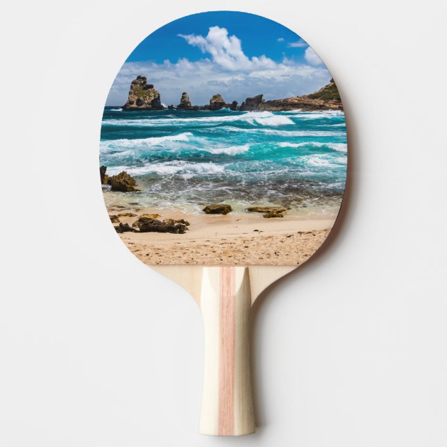 Pointe des Chateaux, Grande-Terre, Guadeloupe Pingisracket (Framsidan)