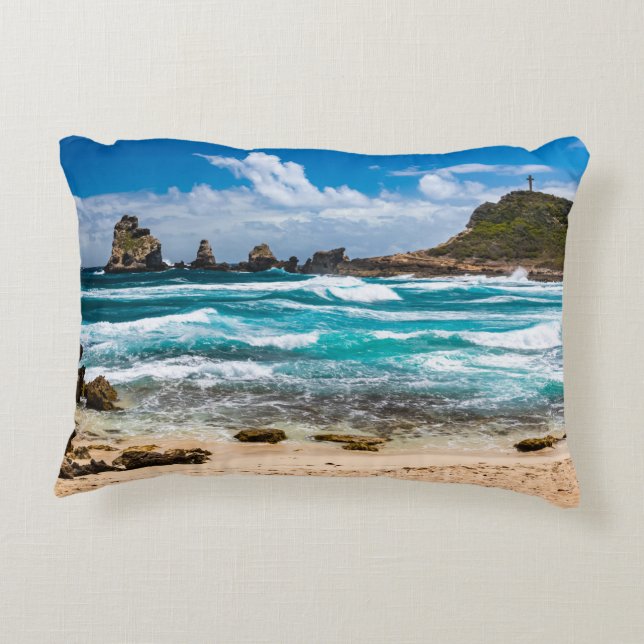 Pointe des Chateaux, Grande-Terre, Guadeloupe Prydnadskudde (Baksidan)