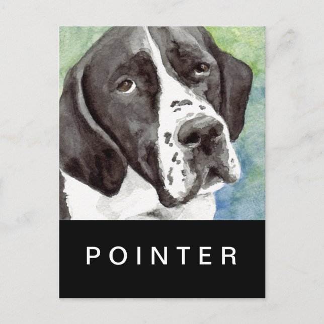 Pointer Postkort Vykort (Framsida)