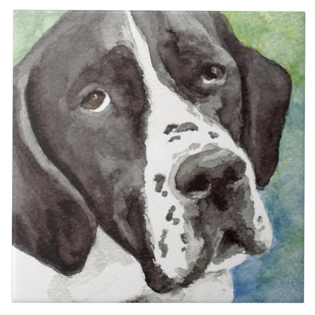 Pointerkonstplattor Kakelplatta (Framsidan)