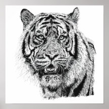 Pointillism Tigerhuvud Svart & Vitt Vilda Djur Kon