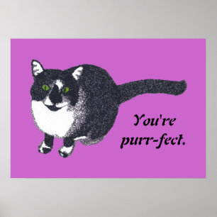 Pointillism Tuxedo Cat Ditt meddelande Poster