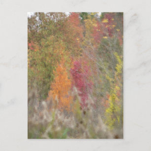 "Pointillist's Autumn" vykort