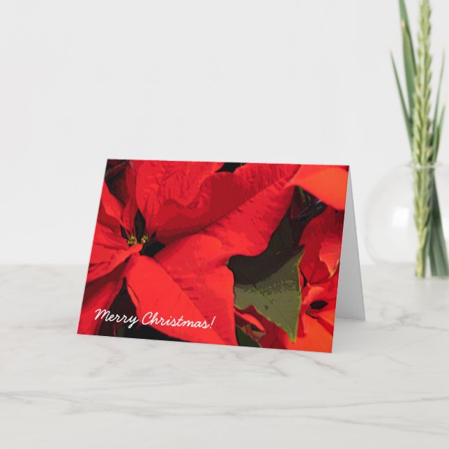 Pointsettis jul helgkort (Framsida)