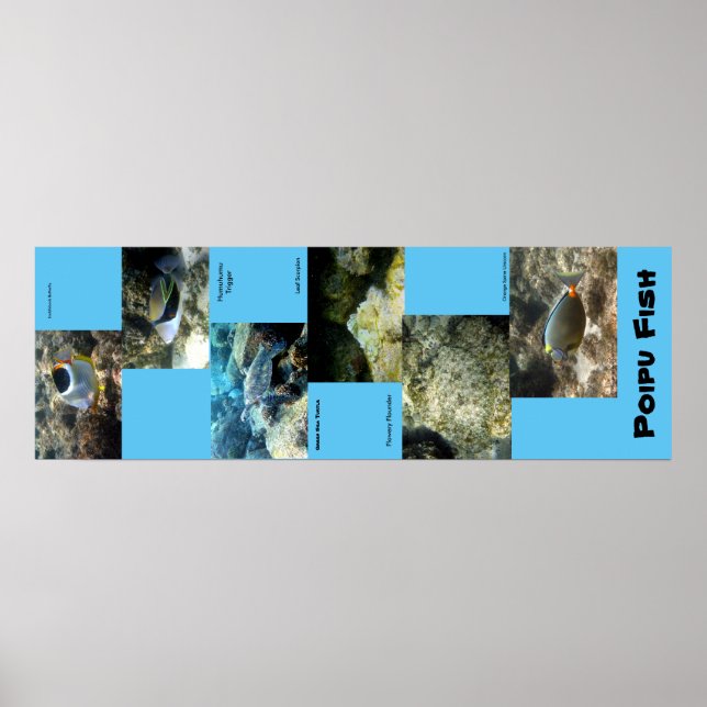 Poipu Fish Poster (Framsidan)