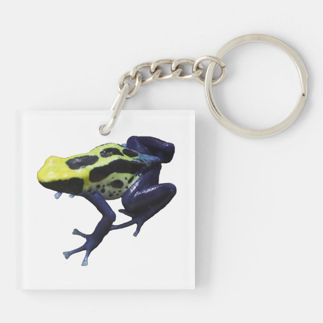 Poison Dart Frog (Baksidan)