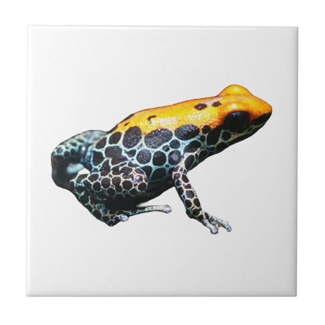 Poison Dart Frog Kakelplatta (Framsidan)