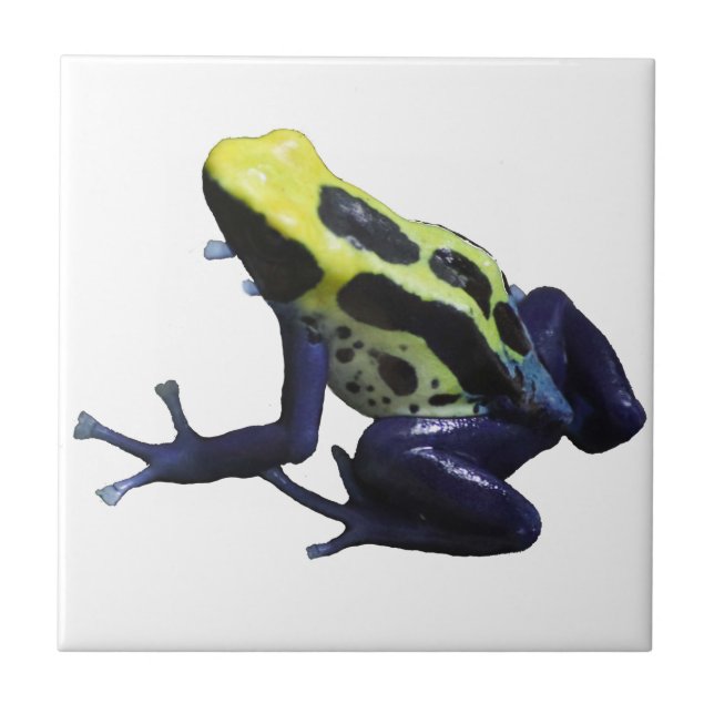 Poison Dart Frog Kakelplatta (Framsidan)