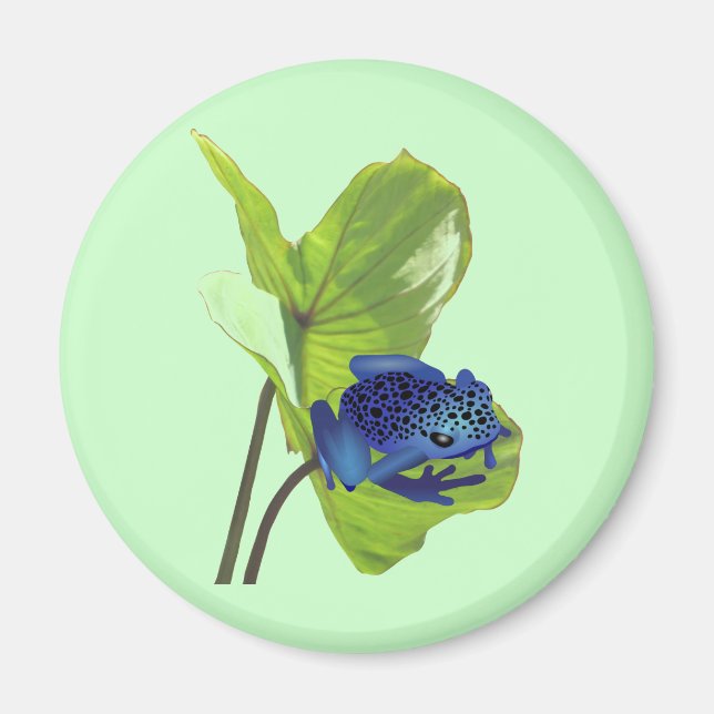 Poison Dart Frog Magnet (Framsidan)