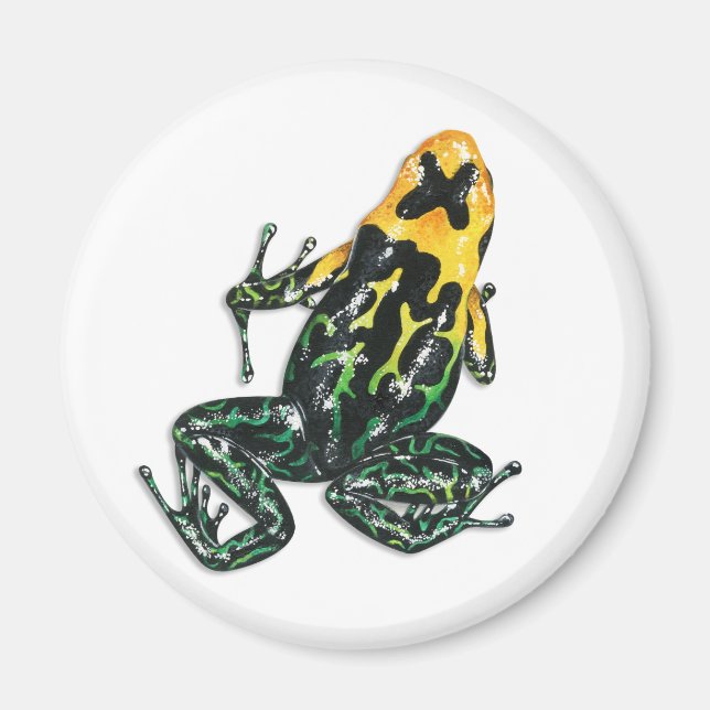Poison Dart Frog Magnet (Framsidan)