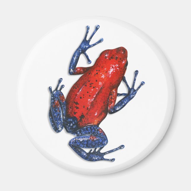 Poison Dart Frog Magnet (Framsidan)