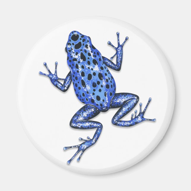Poison Dart Frog Magnet (Framsidan)