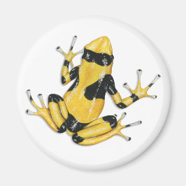 Poison Dart Frog Magnet