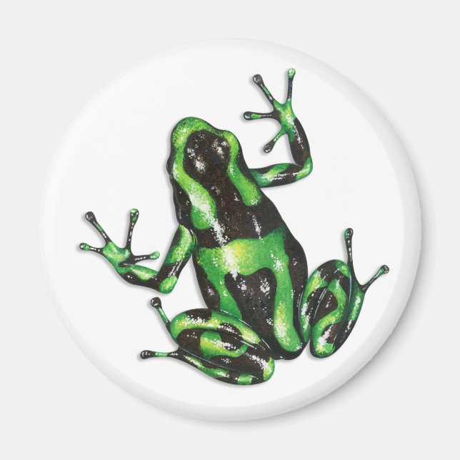 Poison Dart Frog Magnet (Framsidan)