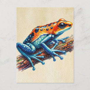 Poison Dart Frog Orange Blue Vykort
