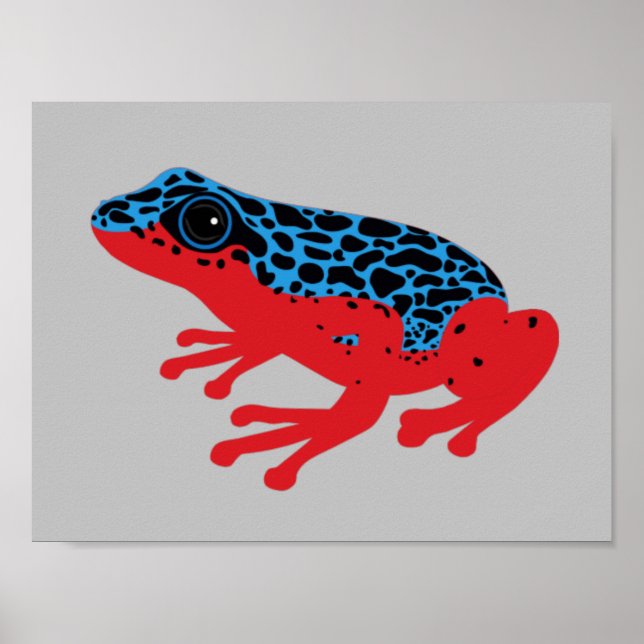 Poison Dart Frog Poster (Framsidan)