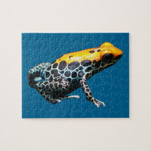 Poison Dart Frog Pussel