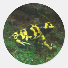 Poison Dart Frog Runt Klistermärke
