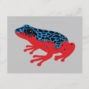 Poison Dart Frog vykort