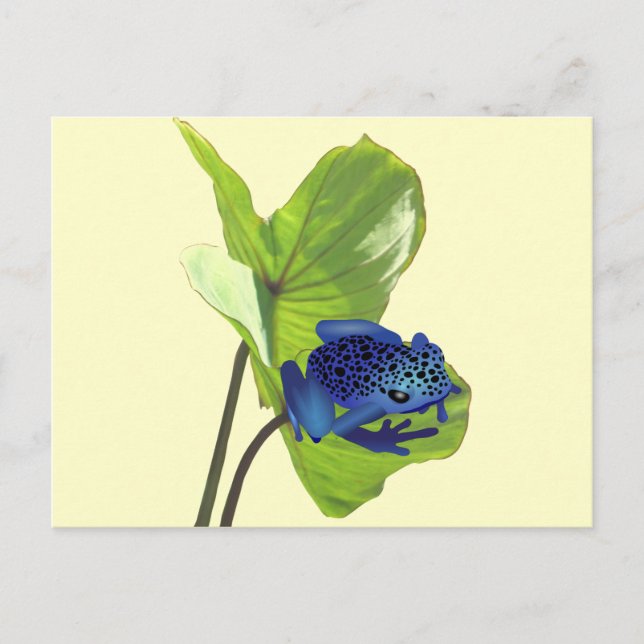 Poison Dart Frog Vykort (Framsida)