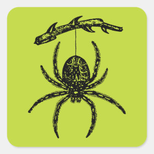 Poison Grönt Spider Fyrkantigt Klistermärke