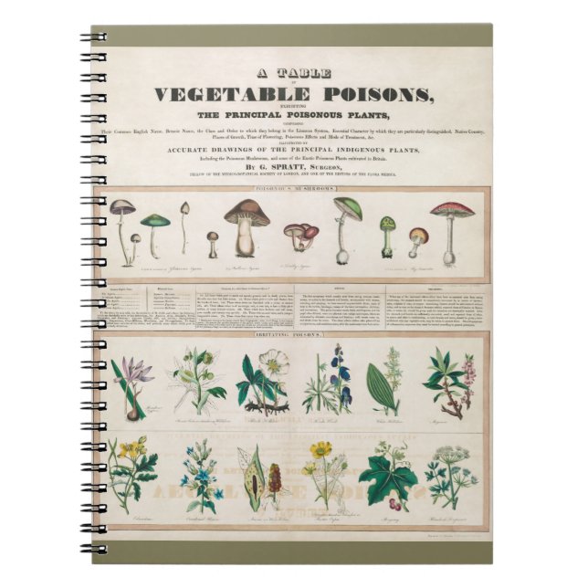 Poisonhaltiga svampar: Irriterande gifter Anteckningsbok (Framsidan)