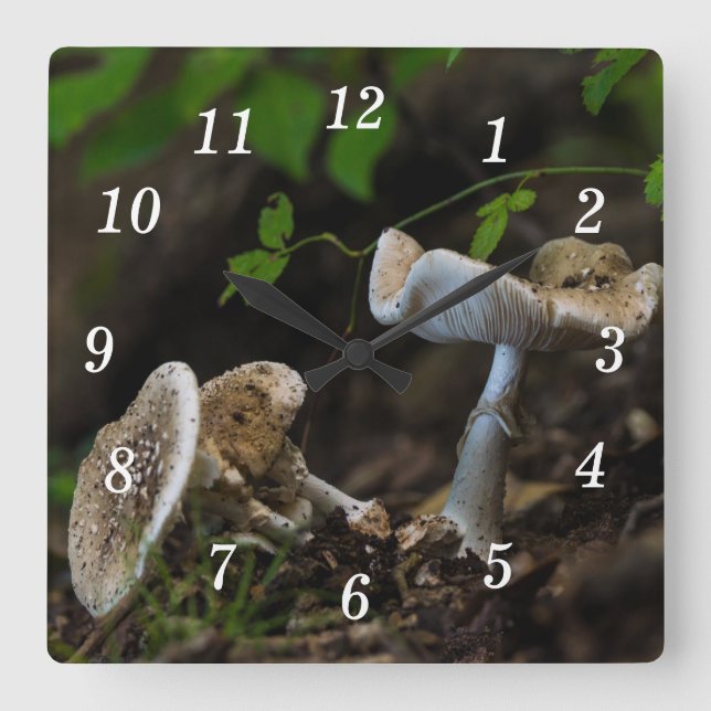 Poisonous Beauty Wall Clock Fyrkantig Klocka (Framsida)