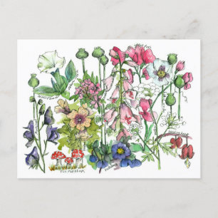 Poisonväxter Örter Vattenfärgsblomma Teckning Vykort