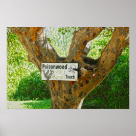 Poisonwood Träd Varningsskylt Poster