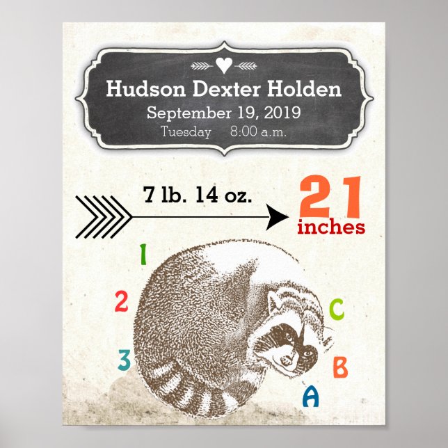 Pojke Birth Stats Cute Raccoon and Arrow Poster (Framsidan)