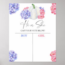 Pojke eller tjej vi pumpar vet att genderna visar 